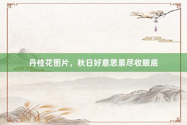 丹桂花图片，秋日好意思景尽收眼底